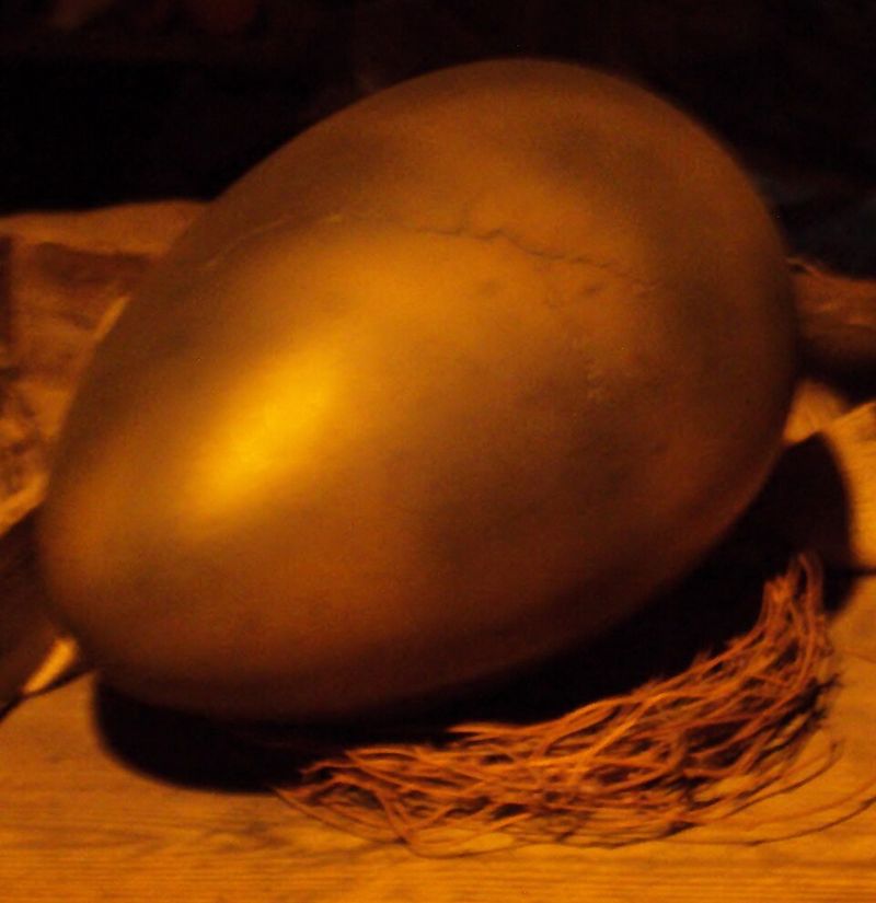 Hagrid Causes Norbert And Fluffy Trouble