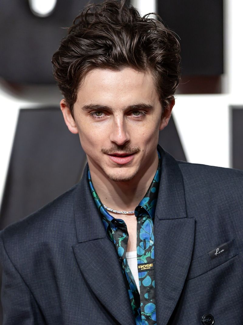 Timothée Chalamet – Delicate Features, Maximum Impact