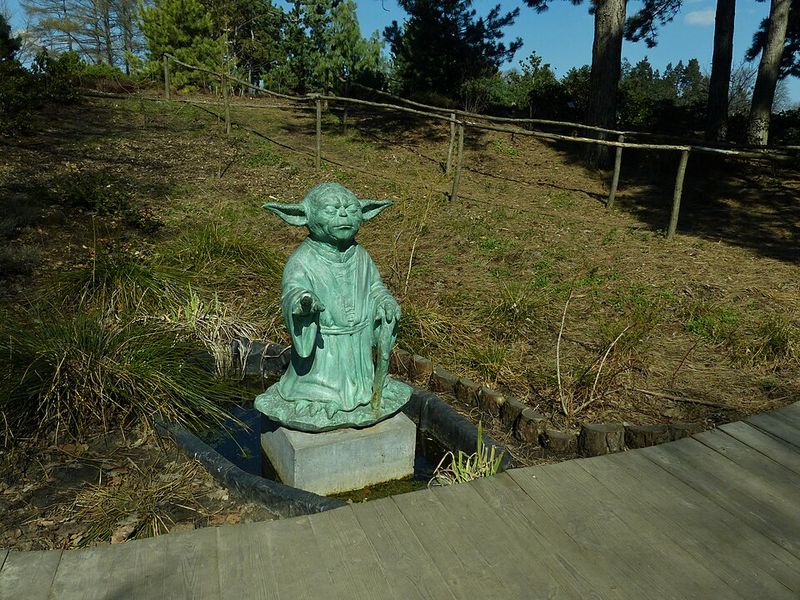 Yoda