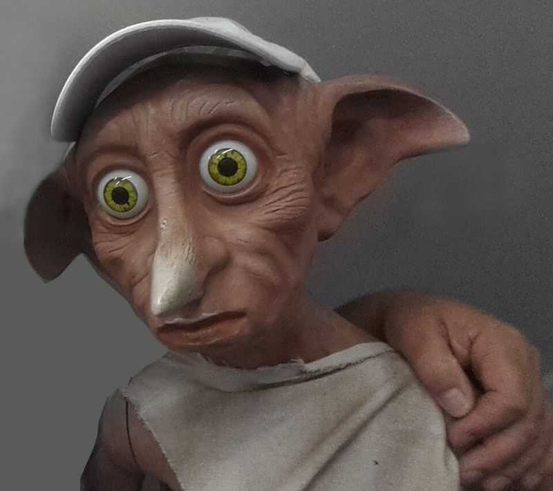 More Of Dobby Between Films