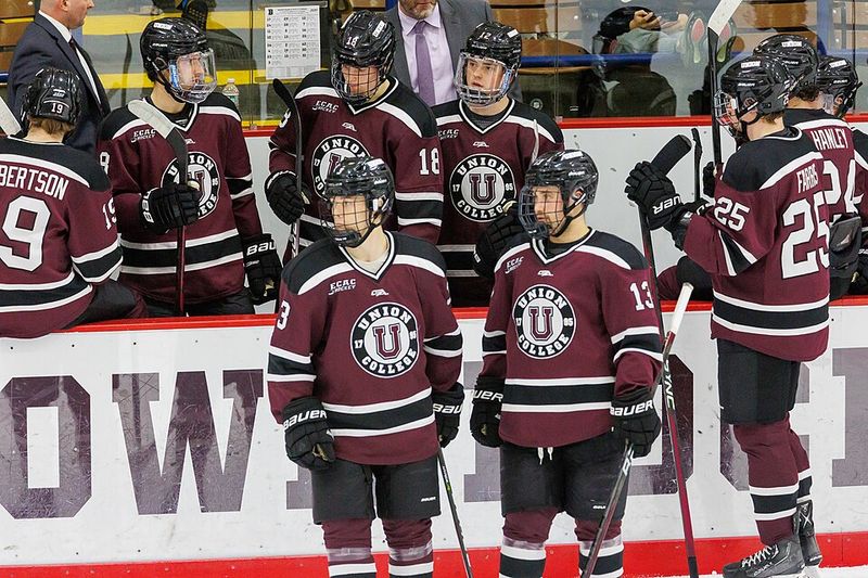 Pucked by Helena Hunting