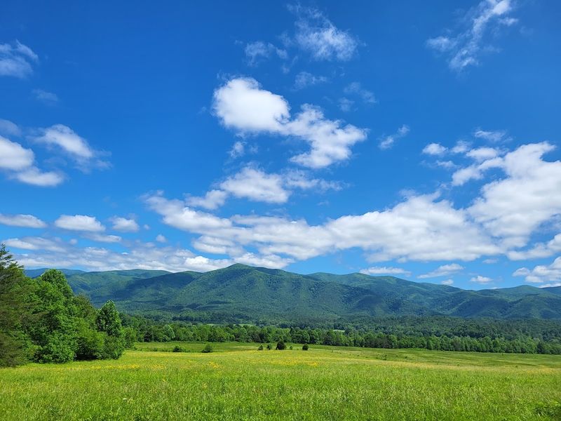 Cades Cove, Tennessee — Smoky Mountain Spring Meadows