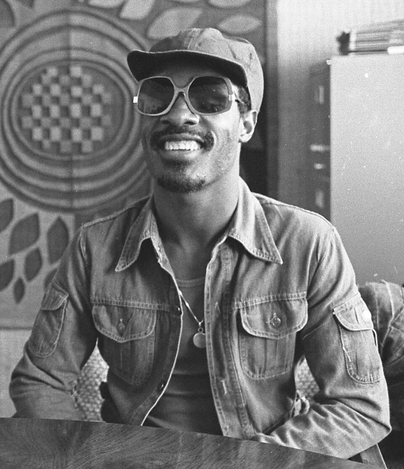 Stevie Wonder