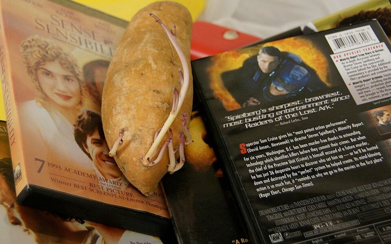 Marianne Dashwood - Sense And Sensibility (1995)