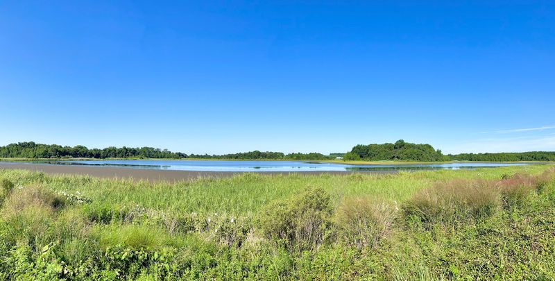 Bombay Hook NWR, Delaware