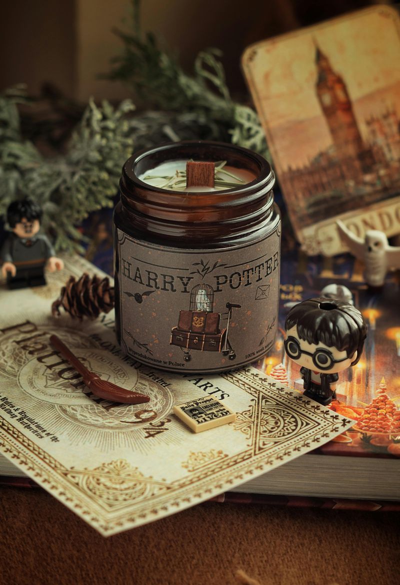 Phineas Nigellus On Students Running Away 