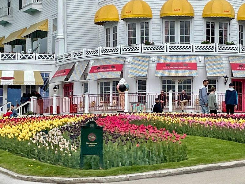 Mackinac Island, Michigan — Lilac Season in Early June