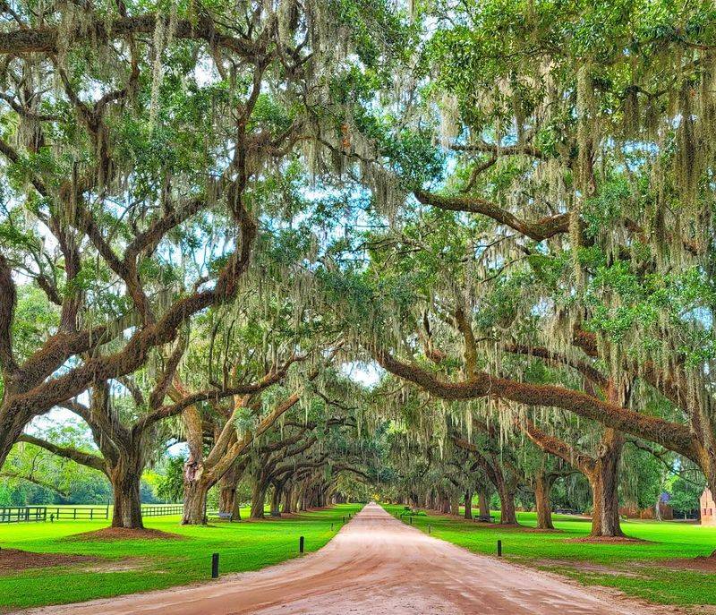 Boone Hall Plantation, Mount Pleasant, South Carolina