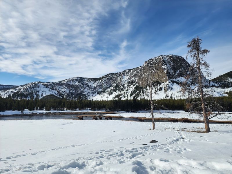 Heading Onto Trails Too Early In The Season