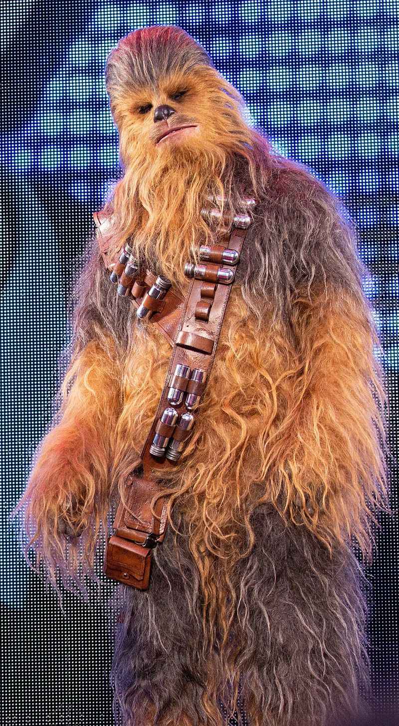 Chewbacca