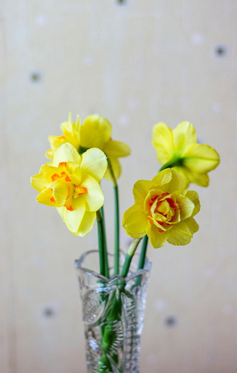 Demanding Daily Fresh Flowers