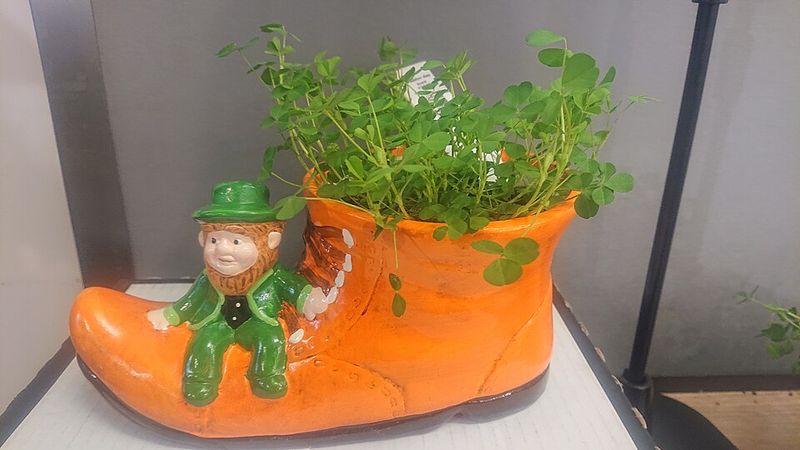 That's What Leprechauns Do by Eve Bunting