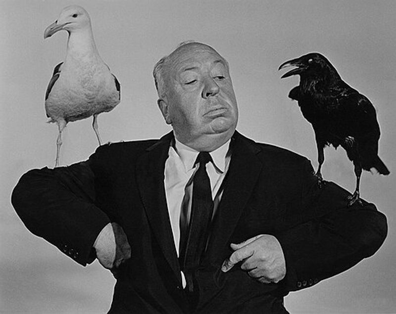 The Birds Had No Musical Score