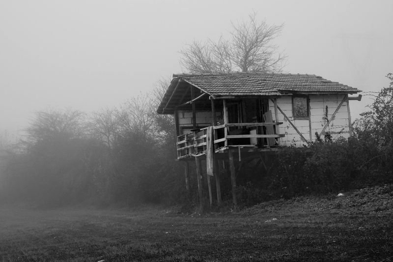 Dig by J. H. Markert