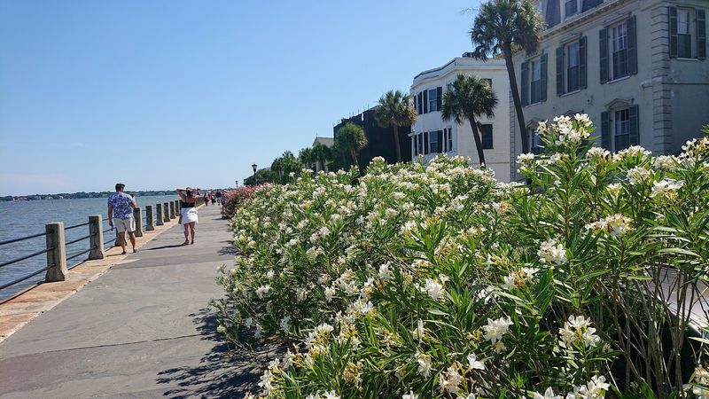 Charleston, South Carolina — A City in Full Bloom