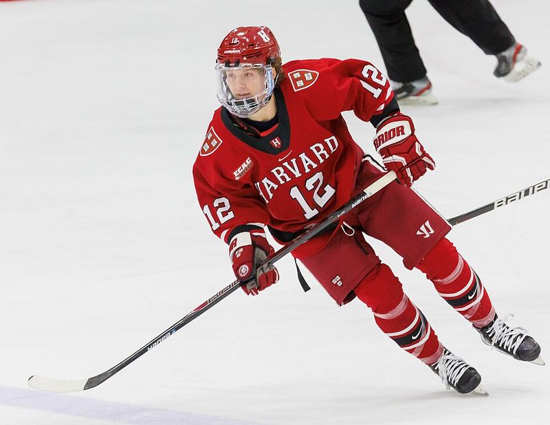 Top Secret by Sarina Bowen and Elle Kennedy