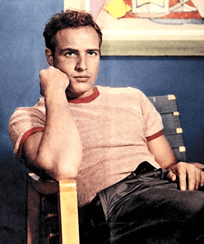Barbra Streisand Turned Down Marlon Brando