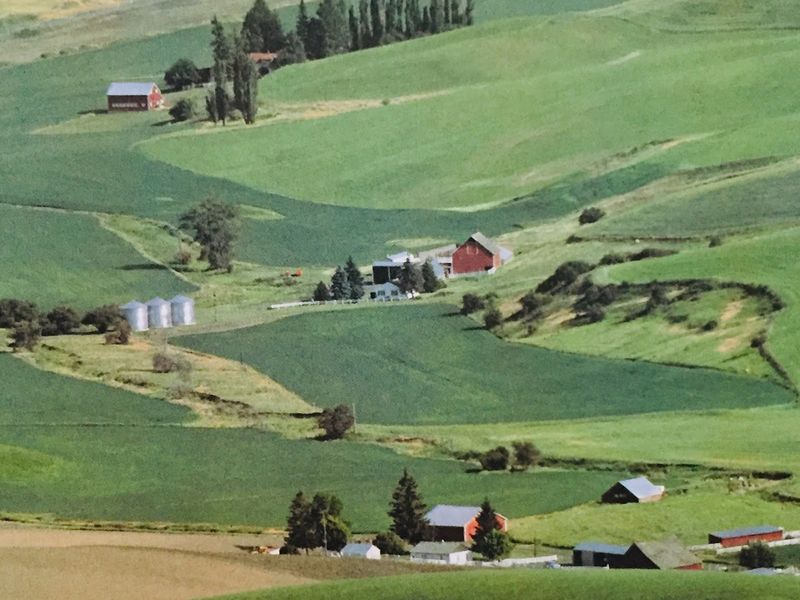 The Palouse, Washington and Idaho