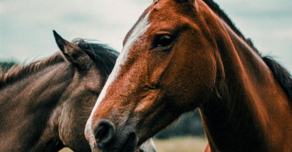 Scenes In Spirit That Hit Differently As An Adult