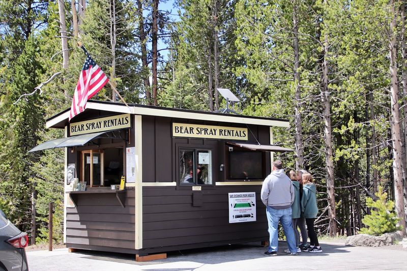 Hiking Without Bear Awareness