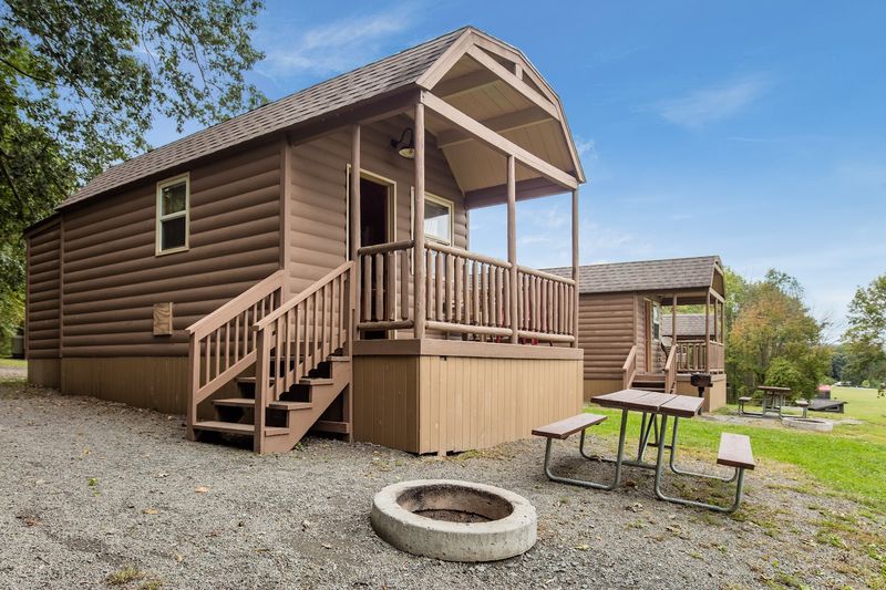 Leaving Cabin Windows Open Around Food