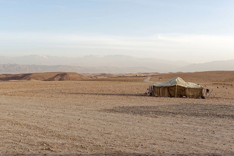 Desert Lighting Makes Every Frame Feel Baked and Real