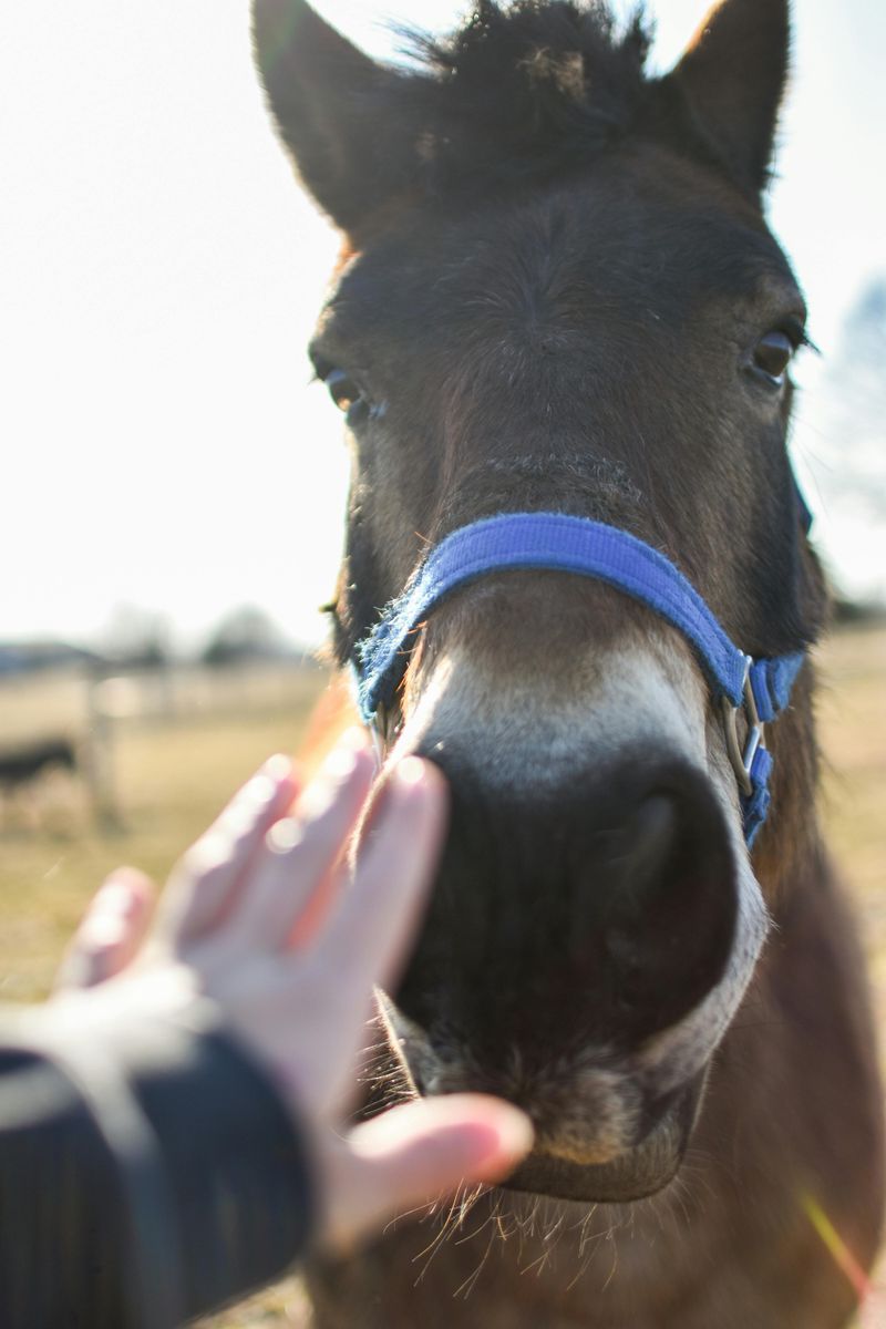 Little Creek Treats Spirit With Dignity