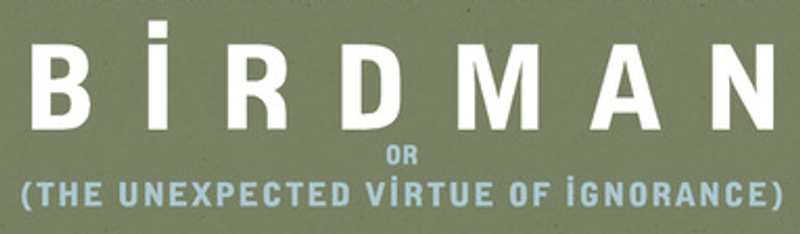 Birdman Or (The Unexpected Virtue Of Ignorance) (2014)