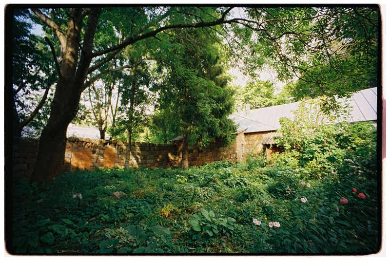The Secret Garden by Frances Hodgson Burnett
