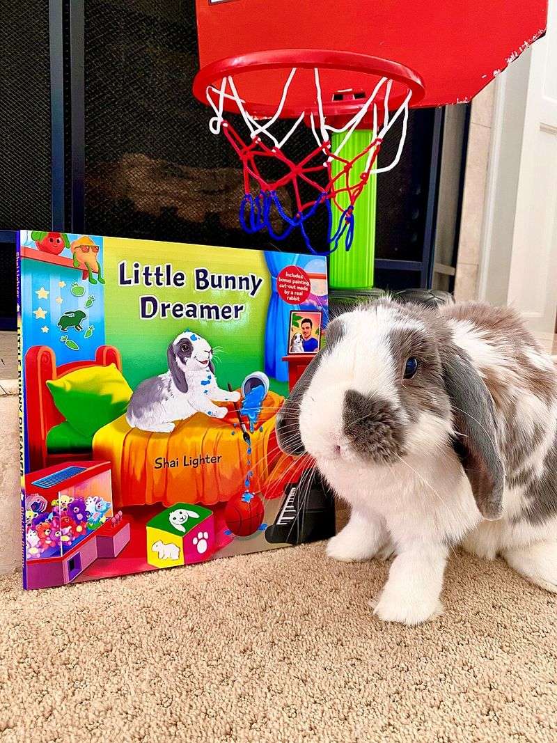 Little Bunny, Spring Is Here! by Deborah Marcero