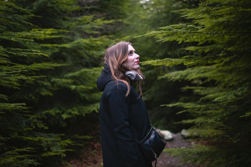 Python's Kiss by Louise Erdrich