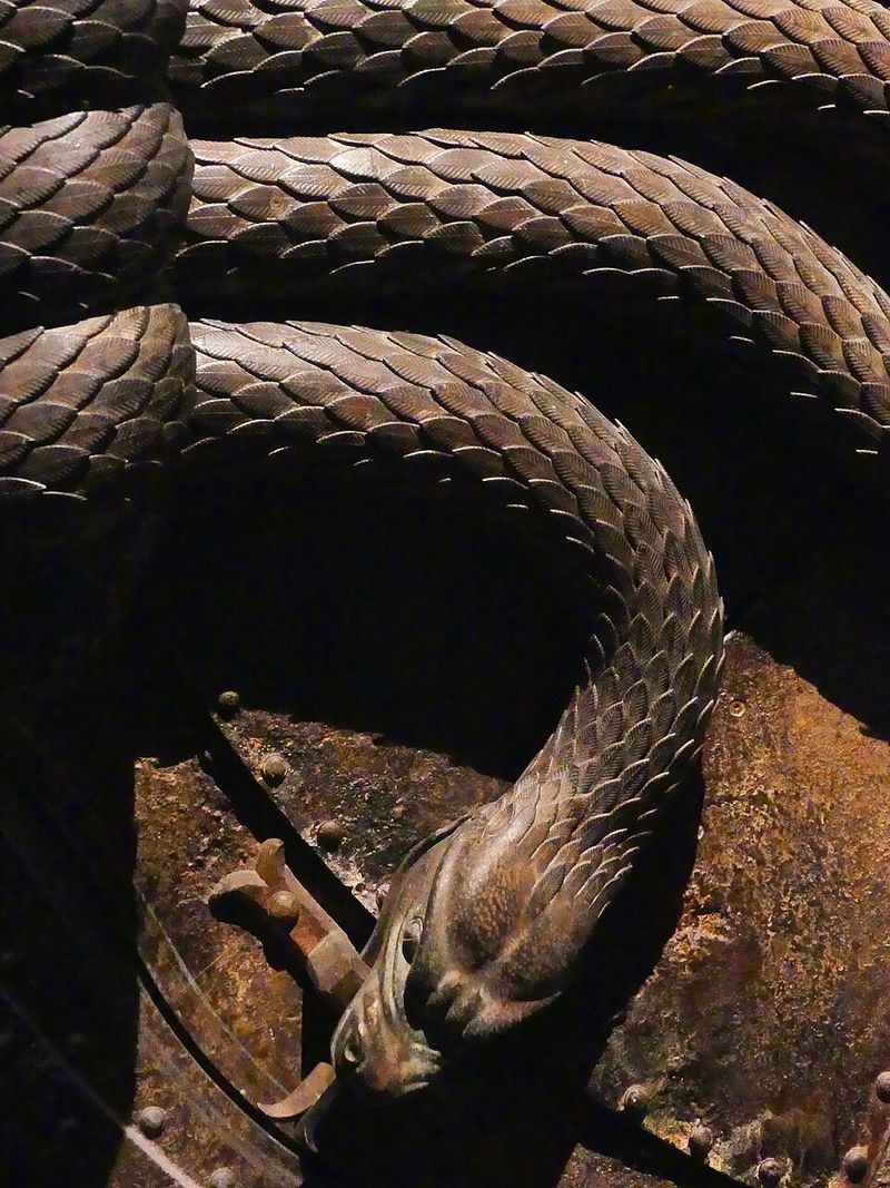 Why The Chamber Stayed Hidden