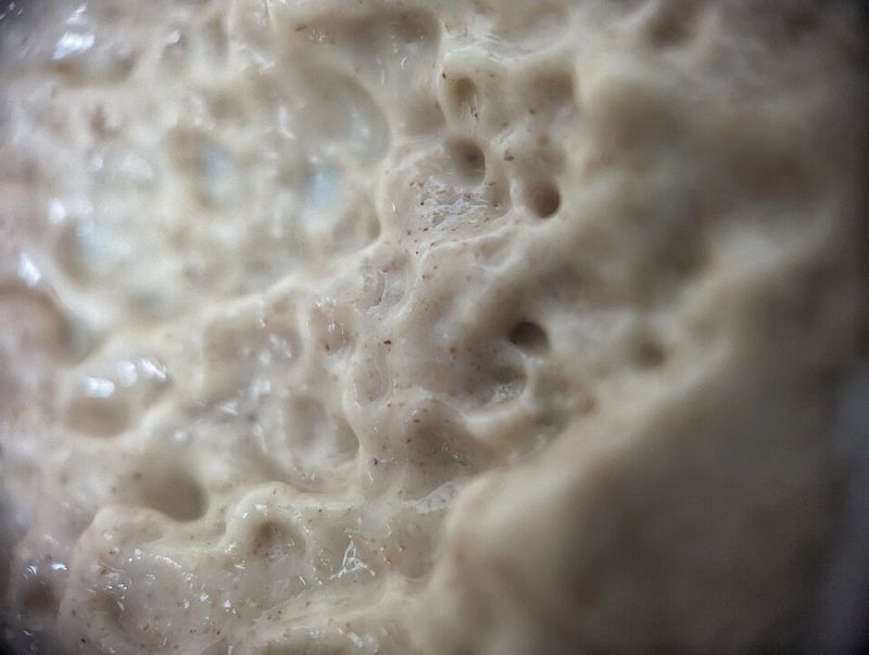 Under-Fermenting the Dough