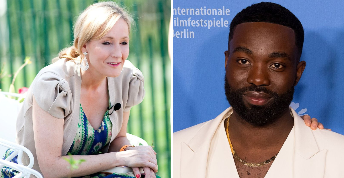 Why Fans And Critics Are Divided On The New Harry Potter Series