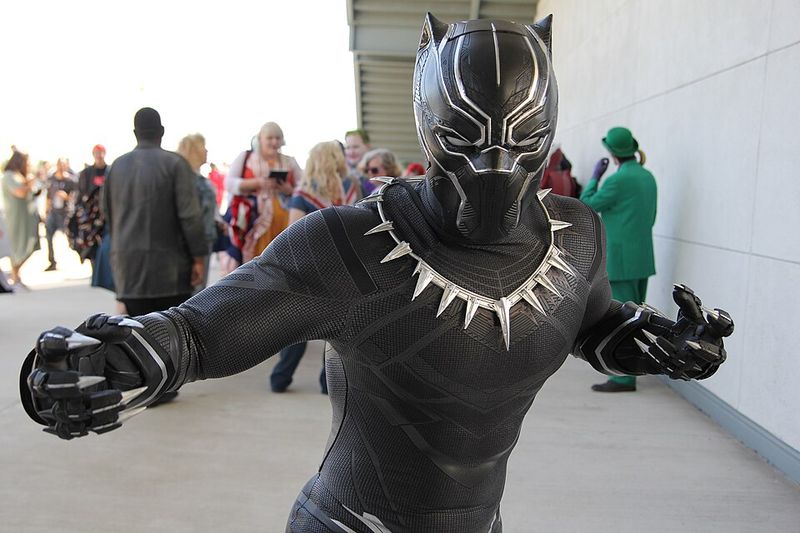 Black Panther: King, Warrior, and Visionary