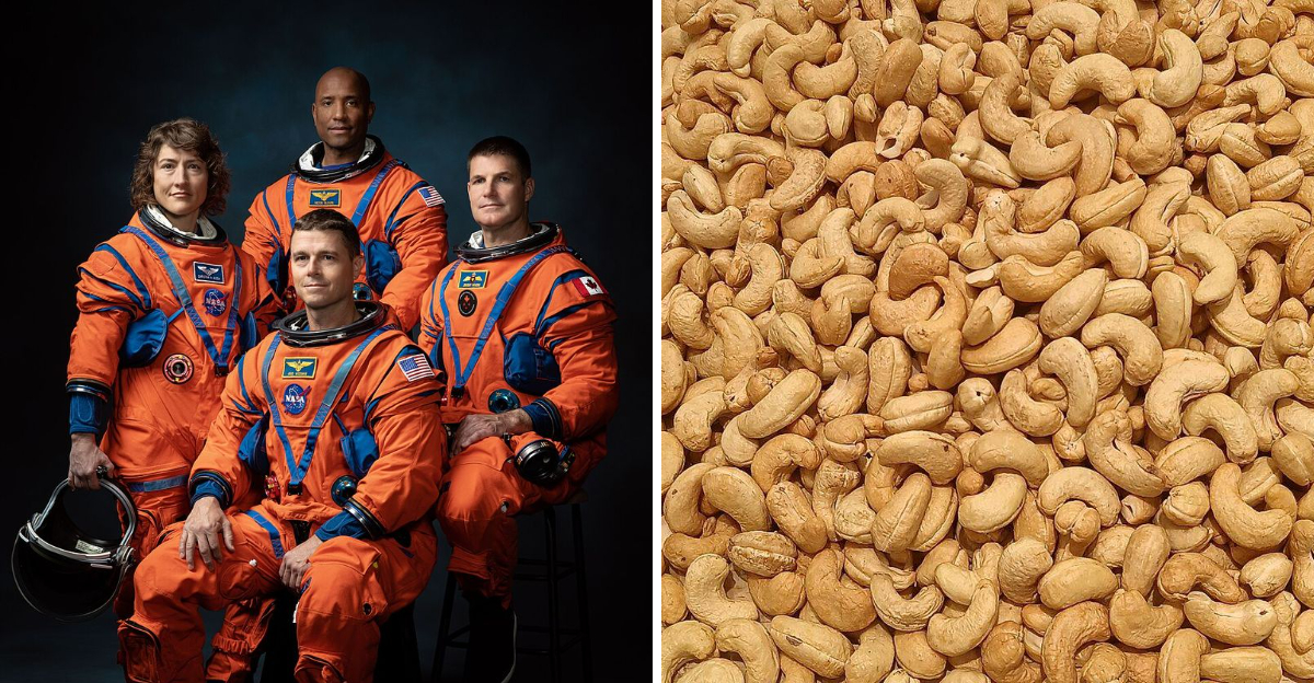 10 Things Artemis Astronauts May Eat During A Mission Around The Moon