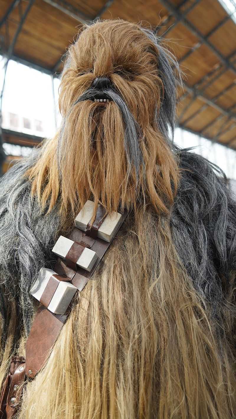 Chewbacca