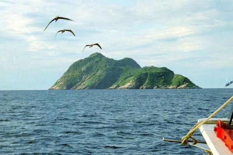 Ilha Da Queimada Grande