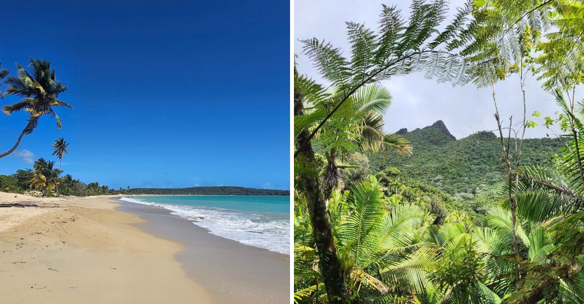 15 Tropical Places In The U.S. That Feel Far From The Mainland