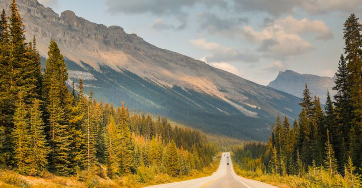 17 North American Road Trips That Turn The Journey Into The Main Event