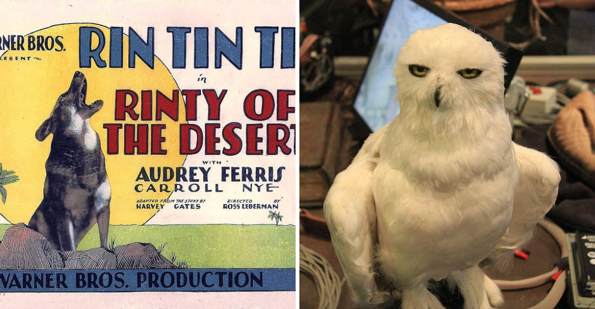 18 On-Screen Animals That Stole The Spotlight And Became Pop Culture Legends