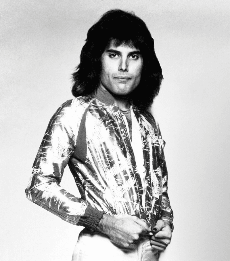 Freddie Mercury Passed Away On November 24, 1991
