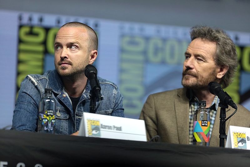 Bryan Cranston and Aaron Paul (Breaking Bad)