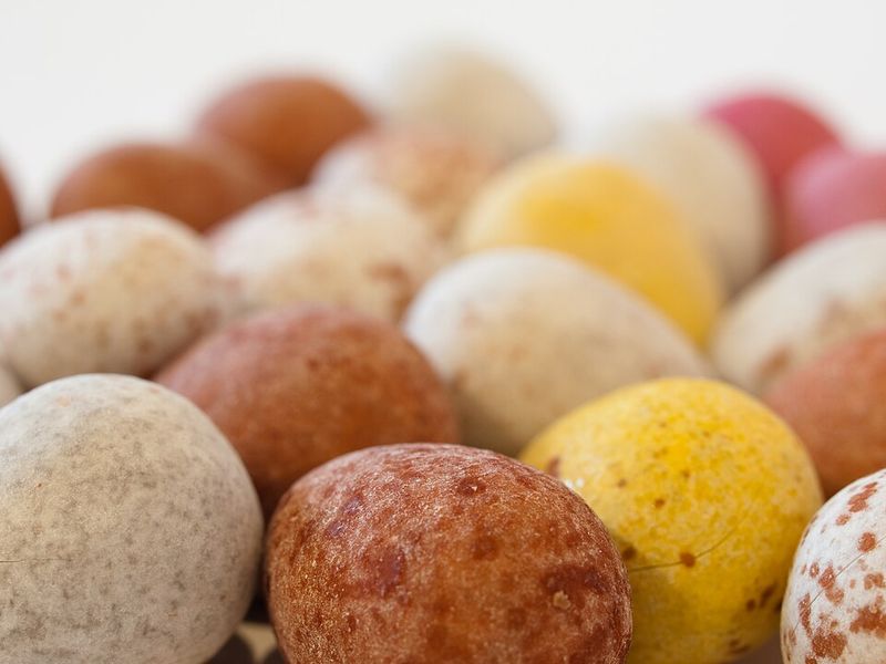 Why Mini Eggs Hold Such Emotional Power