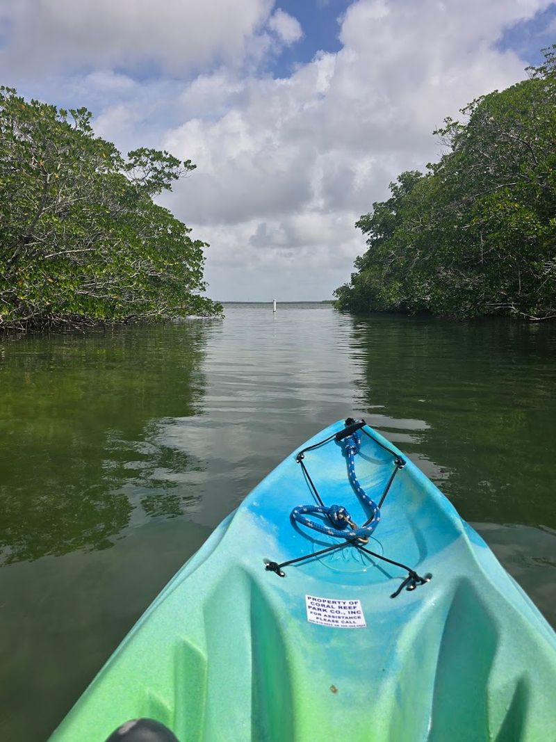 John Pennekamp Coral Reef State Park, Florida Keys