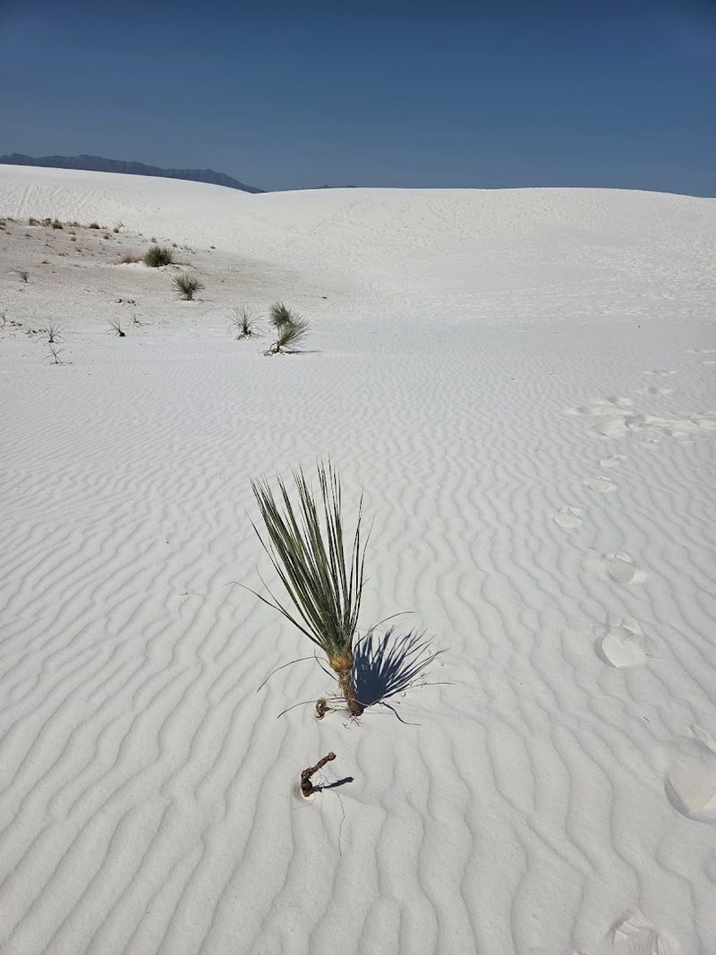 White Sands, New Mexico