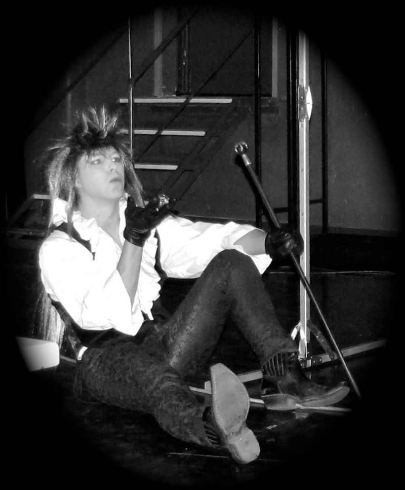 Jareth The Goblin King