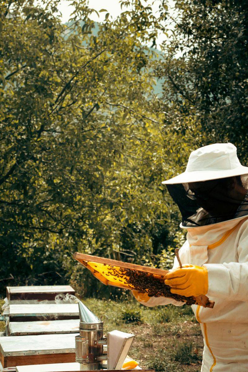 Morgan Freeman — Beekeeping