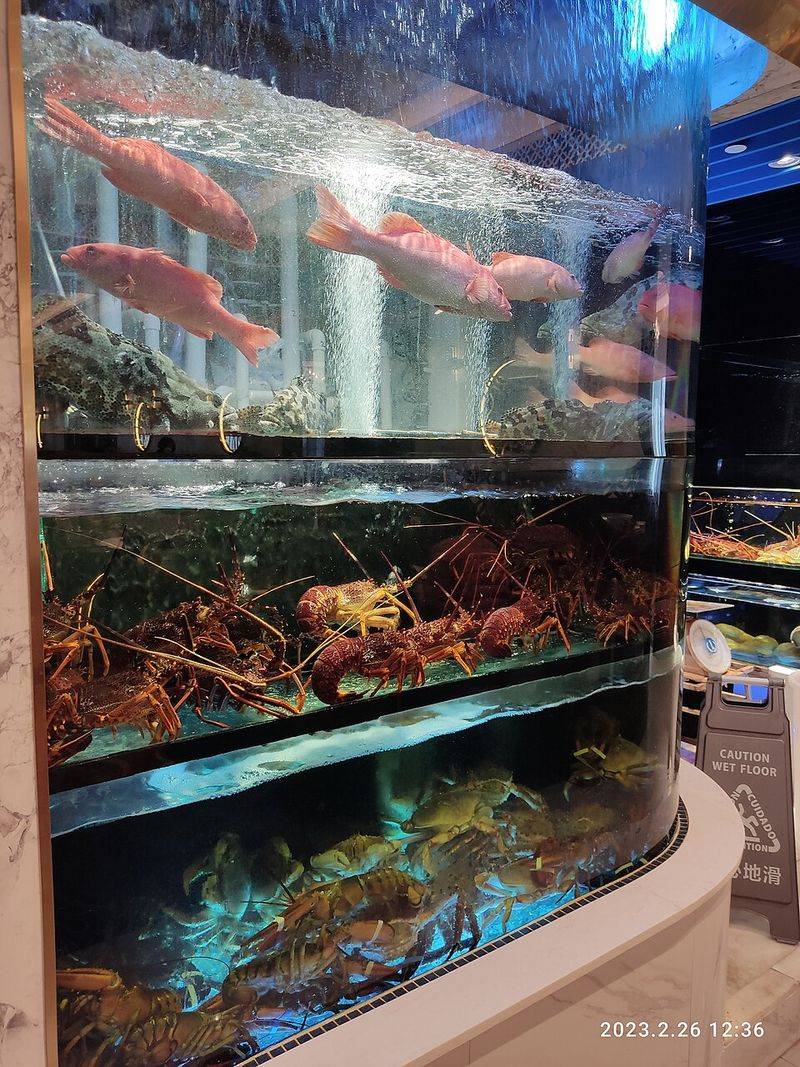 Live Seafood Or Fish Tanks