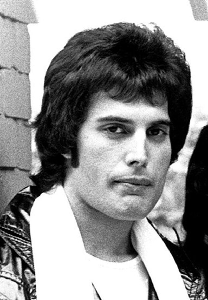 Mr. Bad Guy Solo Album, 1985